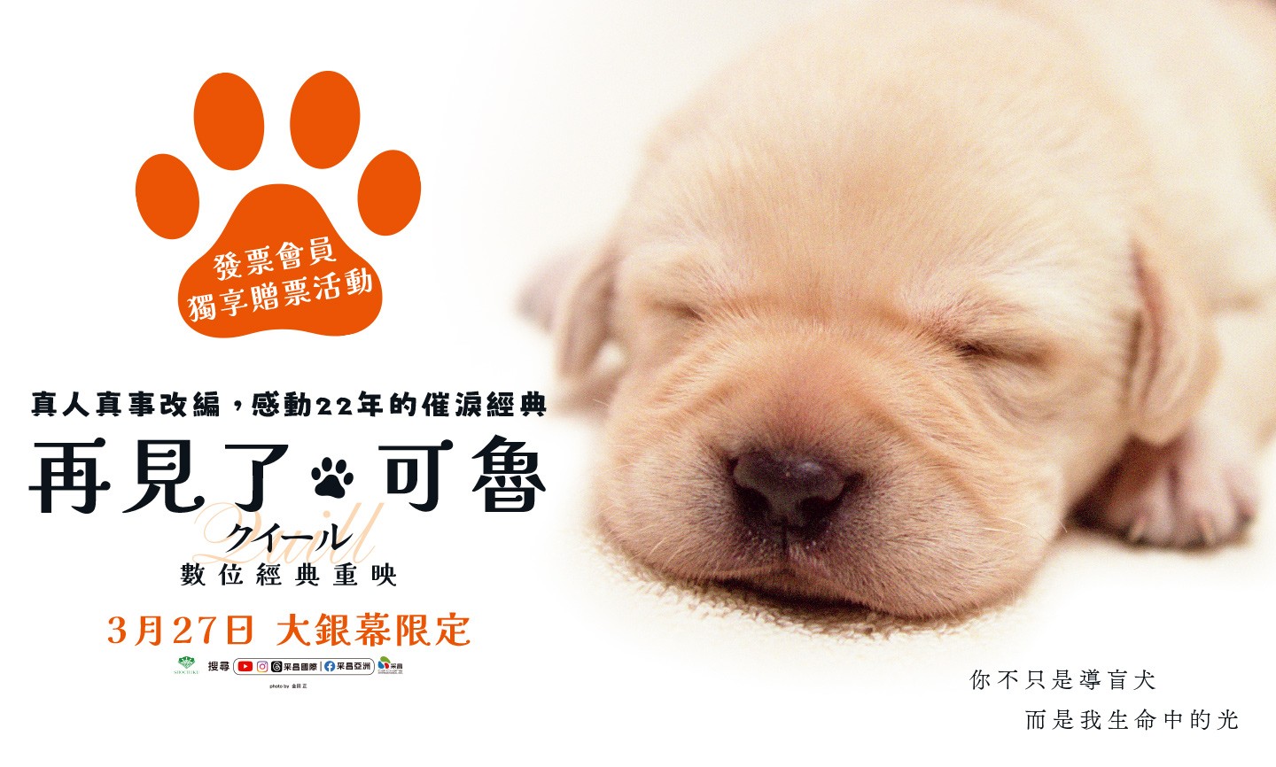 《再見了，可魯：數位經典重映》電影交換券 得獎公告